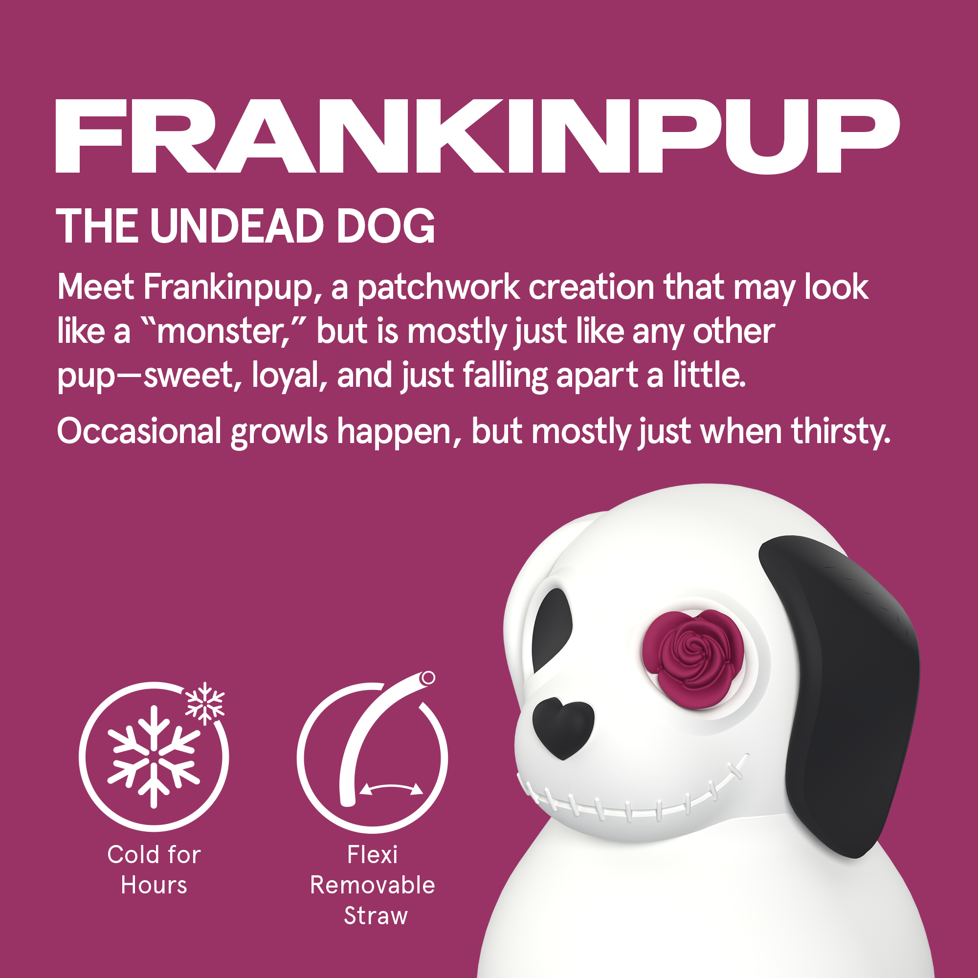 Asobu Spookie Water Bottle 660ml - Undead Dog