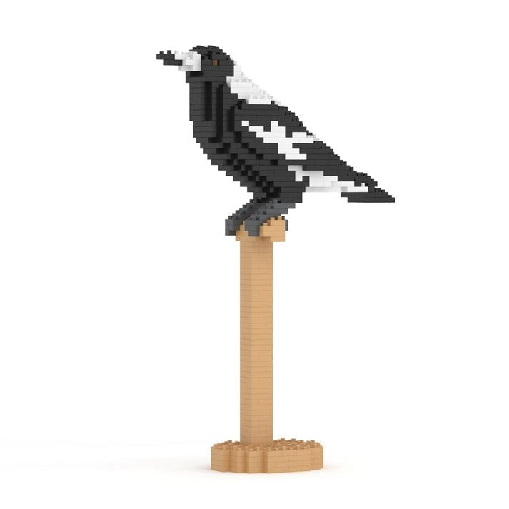 Jekca: Australian Magpie