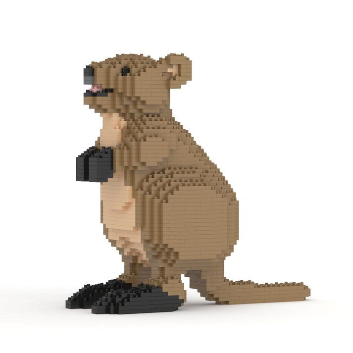 Jekca: Quokka