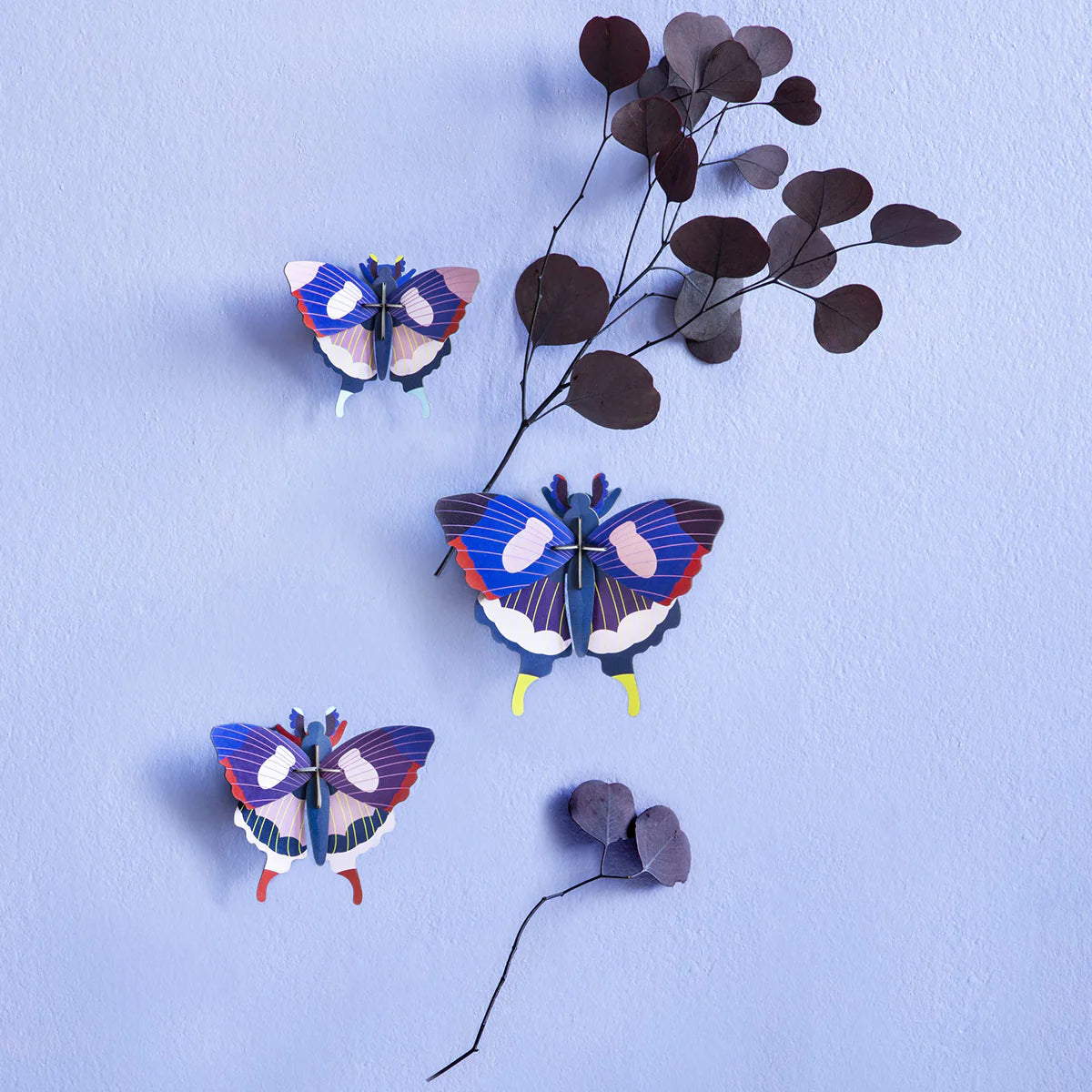 Studio Roof: Wall Art Butterflies (A4) Set Of 3 - Swallowtail Butterfly