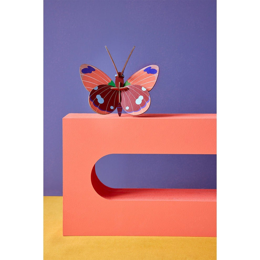 Studio Roof: Wall Art Butterflies (B7) - Delias Butterfly