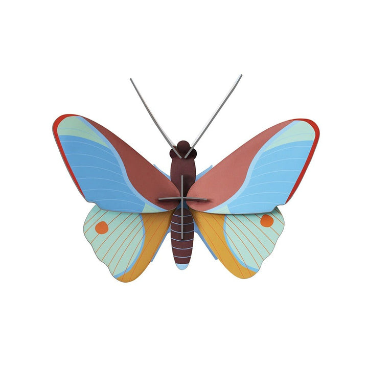 Studio Roof: Wall Art Butterflies (B7) - Claudina Butterfly