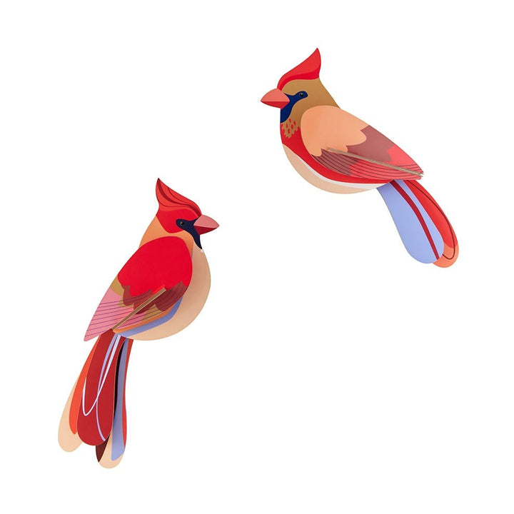 Studio Roof: Wall Art Garden Birds (B6) - Cardinals