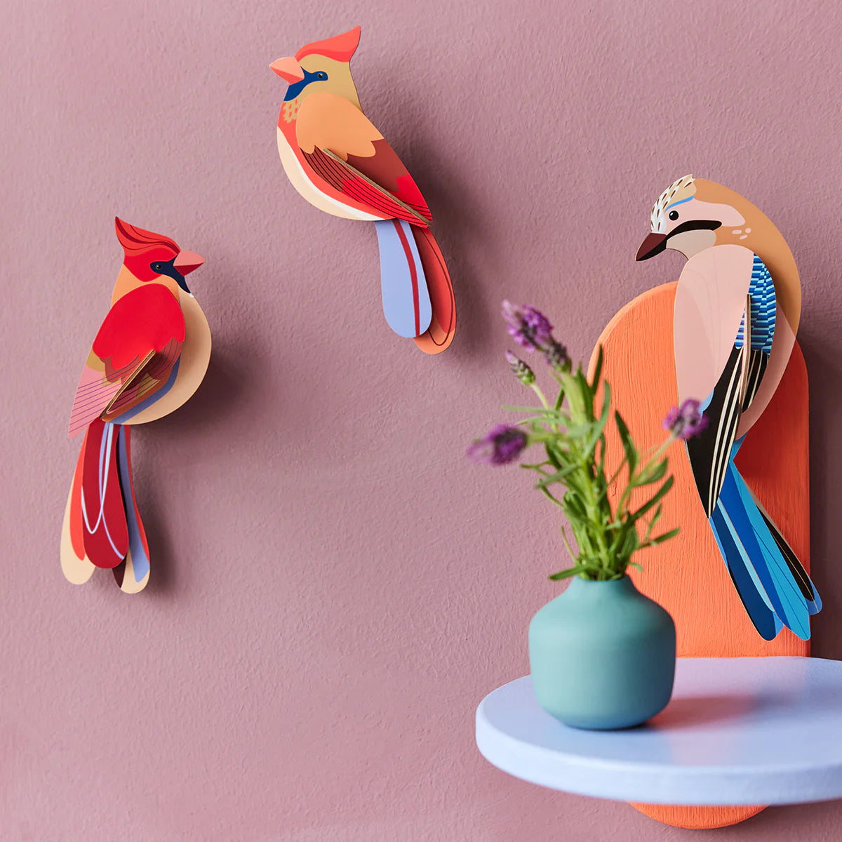 Studio Roof: Wall Art Garden Birds (B6) - Cardinals