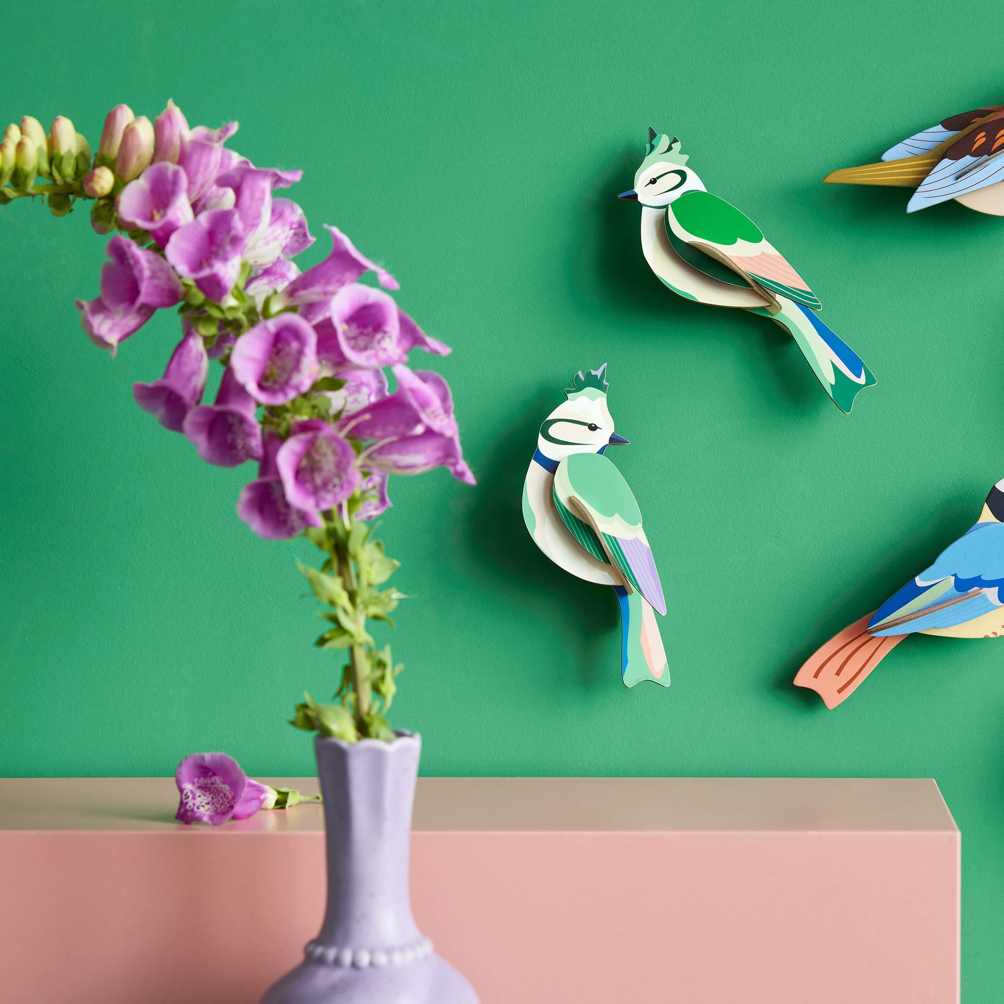 Studio Roof: Wall Art Garden Birds (B6) - Forest Crests