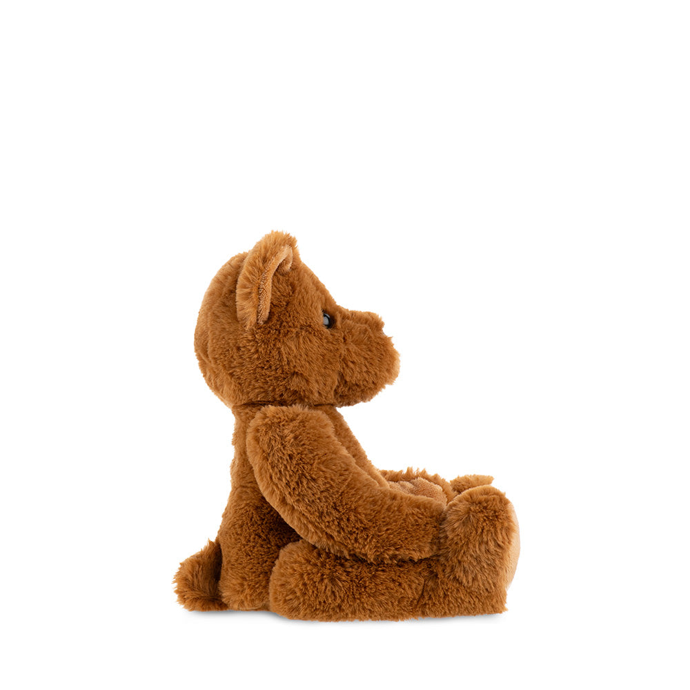 c. 1902 Theodore Medium (Bear)