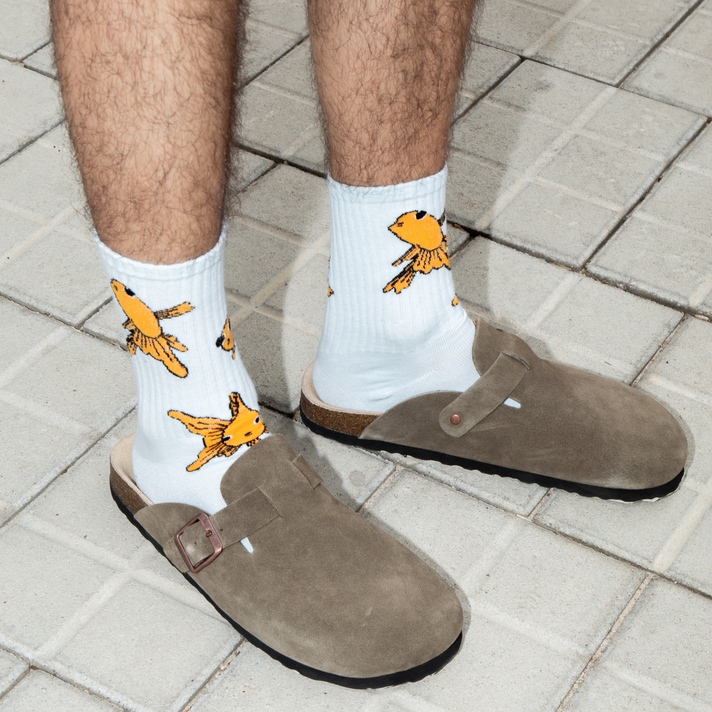 Eat My Socks Goldfish Crew Socks