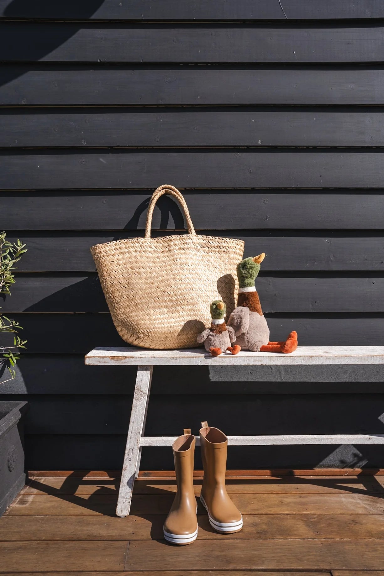 Nana Huchy: Hugo the Mallard Duck