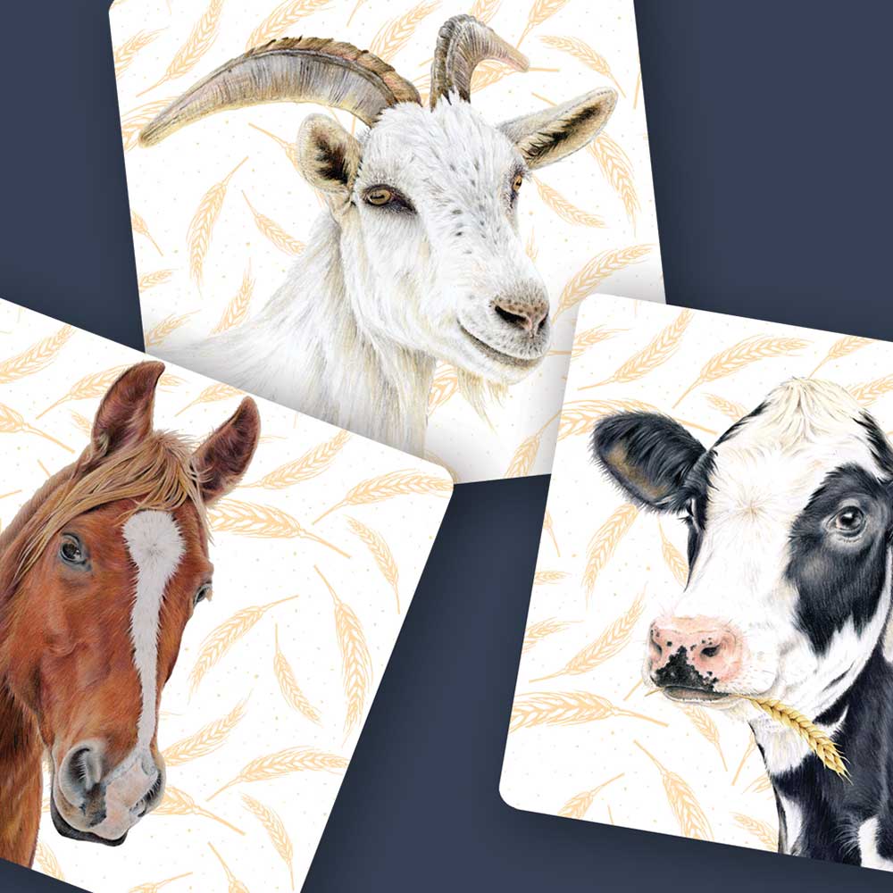 Popcorn Blue Farm Friends Memory Game