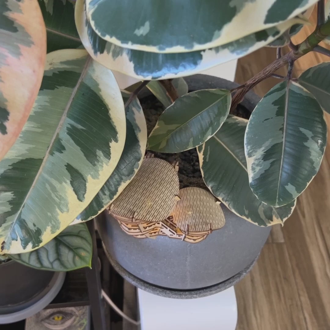 Tiny Treehouses: Horizons Edge