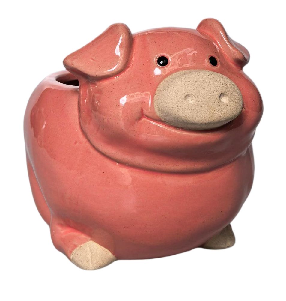 Urban Products Pig Planter - Pink 14x18cm