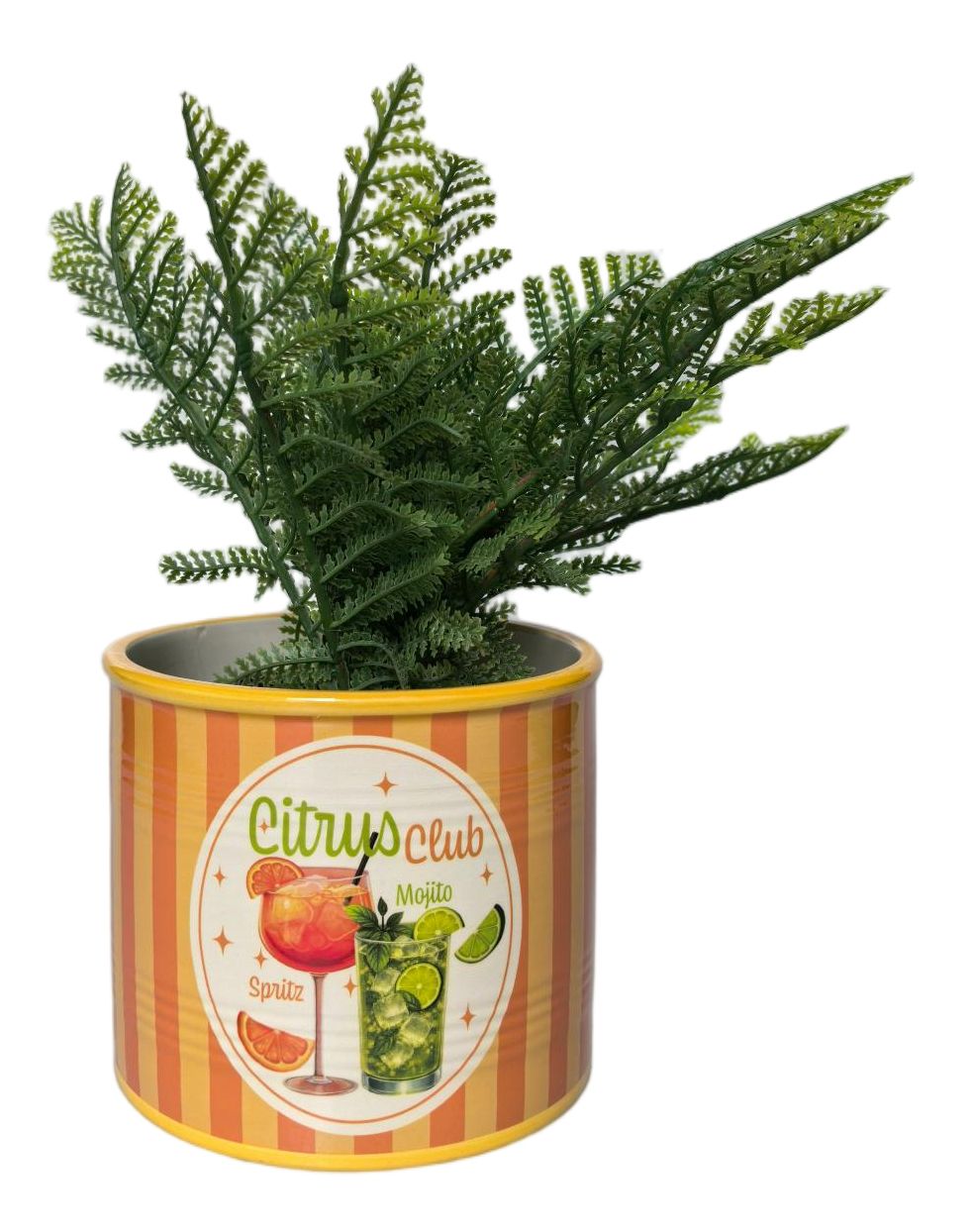 Urban Products Spritz Citrus Club Planter - Orange, 12cm