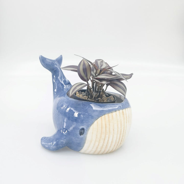 Reef Whale Planter Blue