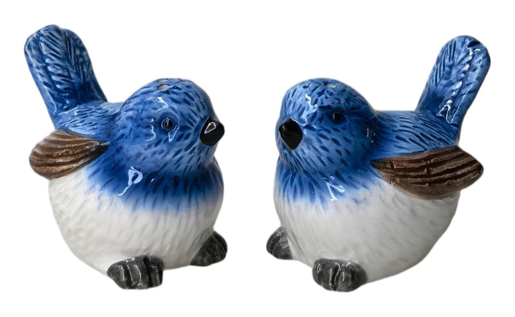 Urban Products Blue Wren Salt & Pepper Shakers