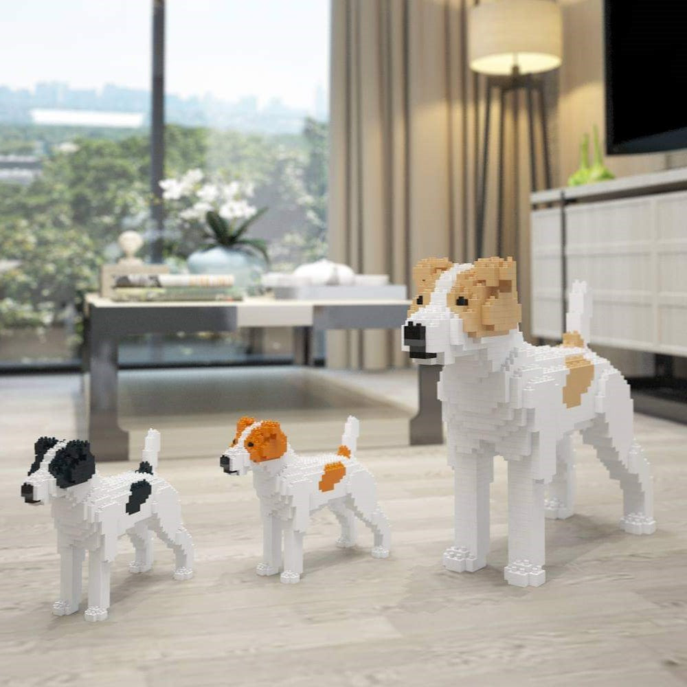 Jekca: Jack Russell Terrier