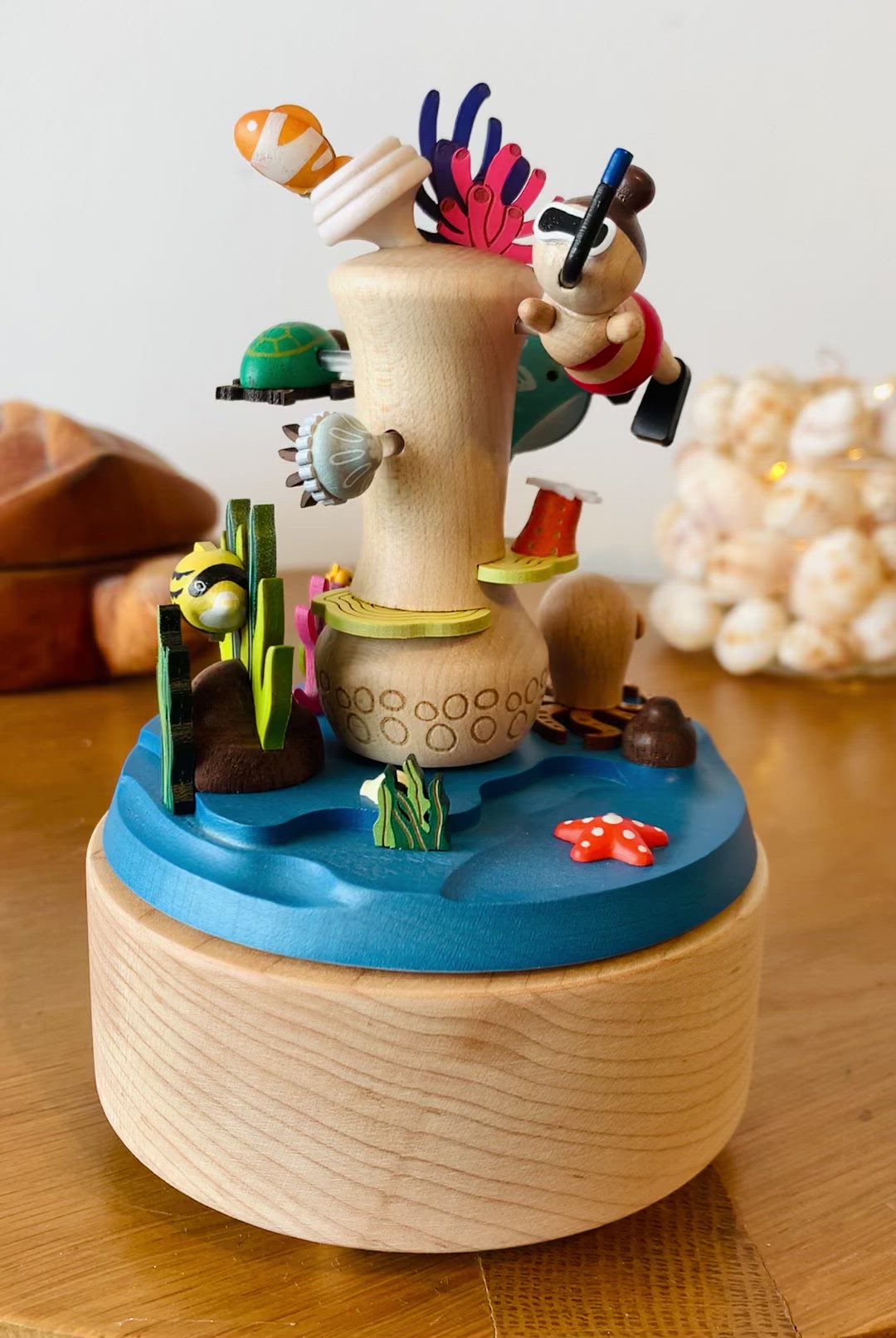 Wooderful Life: Music Box Coral Reef Snorkelling