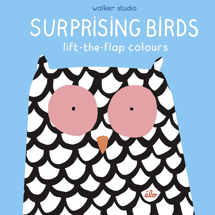 Surprising Birds: Lift the Flap Colours