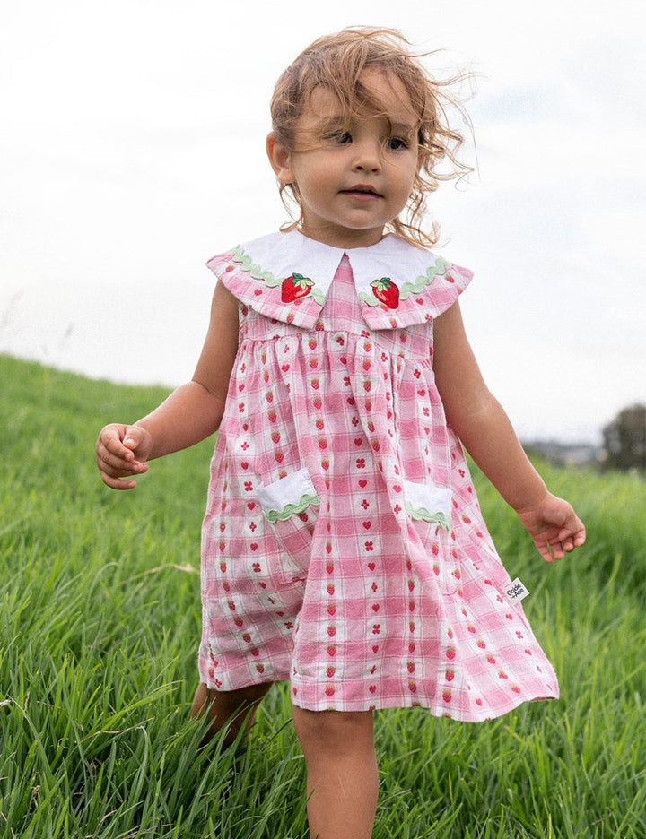 Goldie + Ace: Lucy Collared Very Berry Gingham Dress Pink