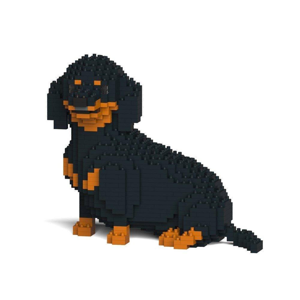 Jekca: Dachshund