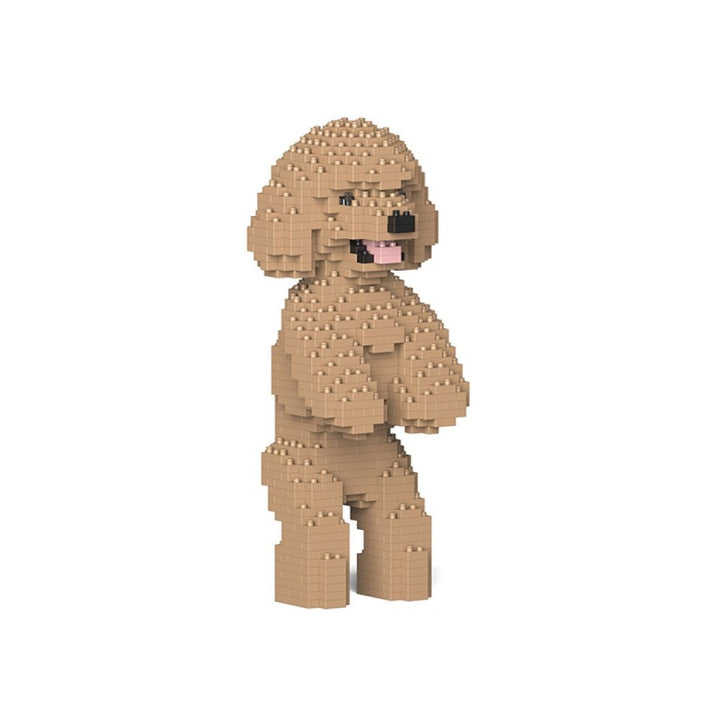 Jekca: Toy Poodle
