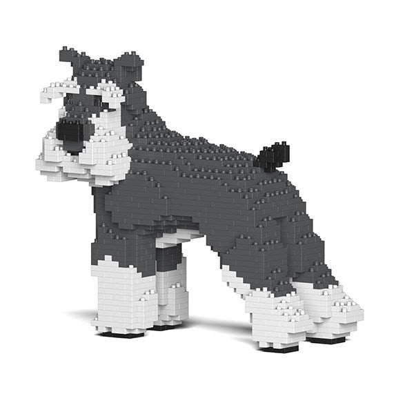 Jekca: Standard Schnauzer