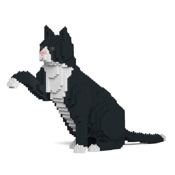 Jekca: Tuxedo Cat