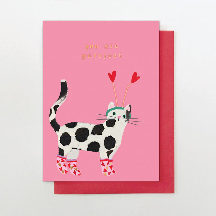 Stop the Clock: Greeting Card You & Me You Are Purrfect