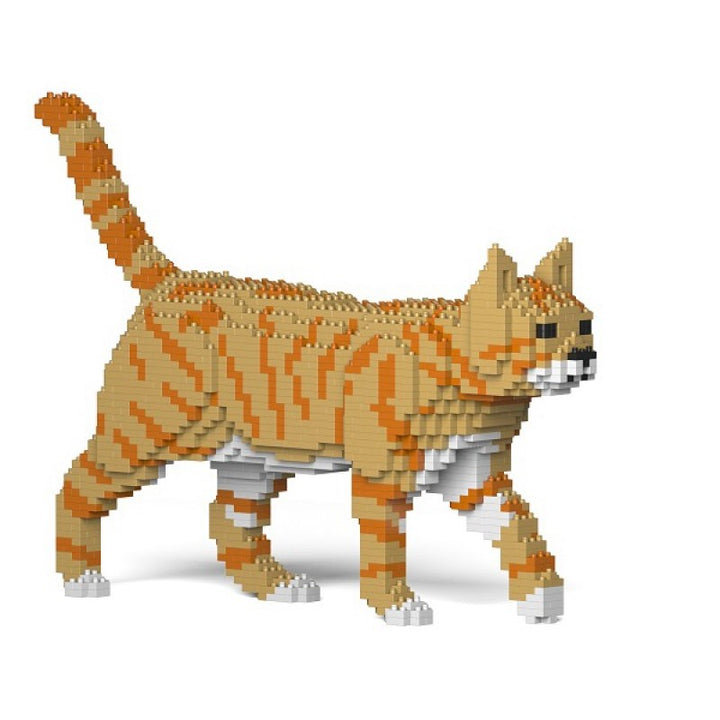Jekca: Ginger Cat