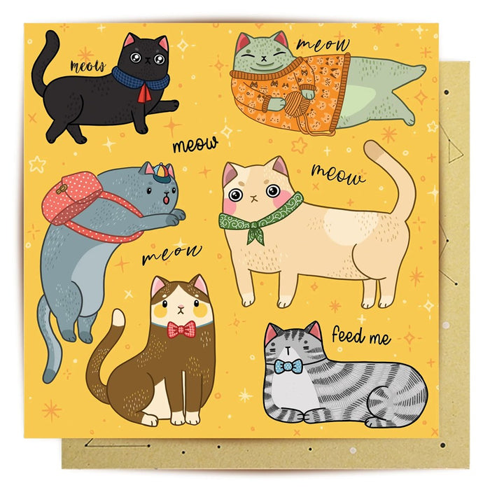 La La Land: Greeting Card Cat Nonsense