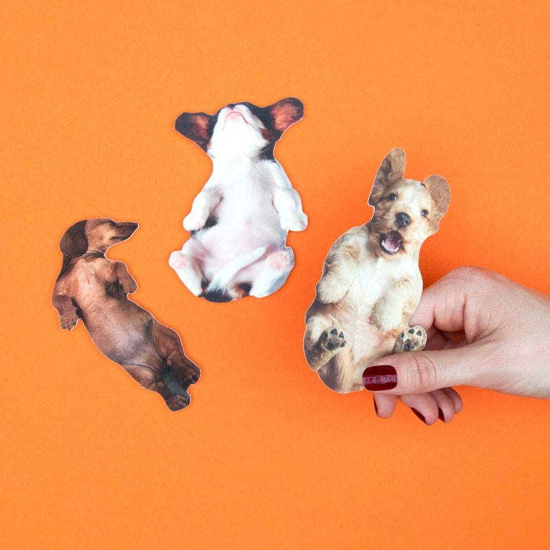 Suck UK: Pawfect Nails Orange