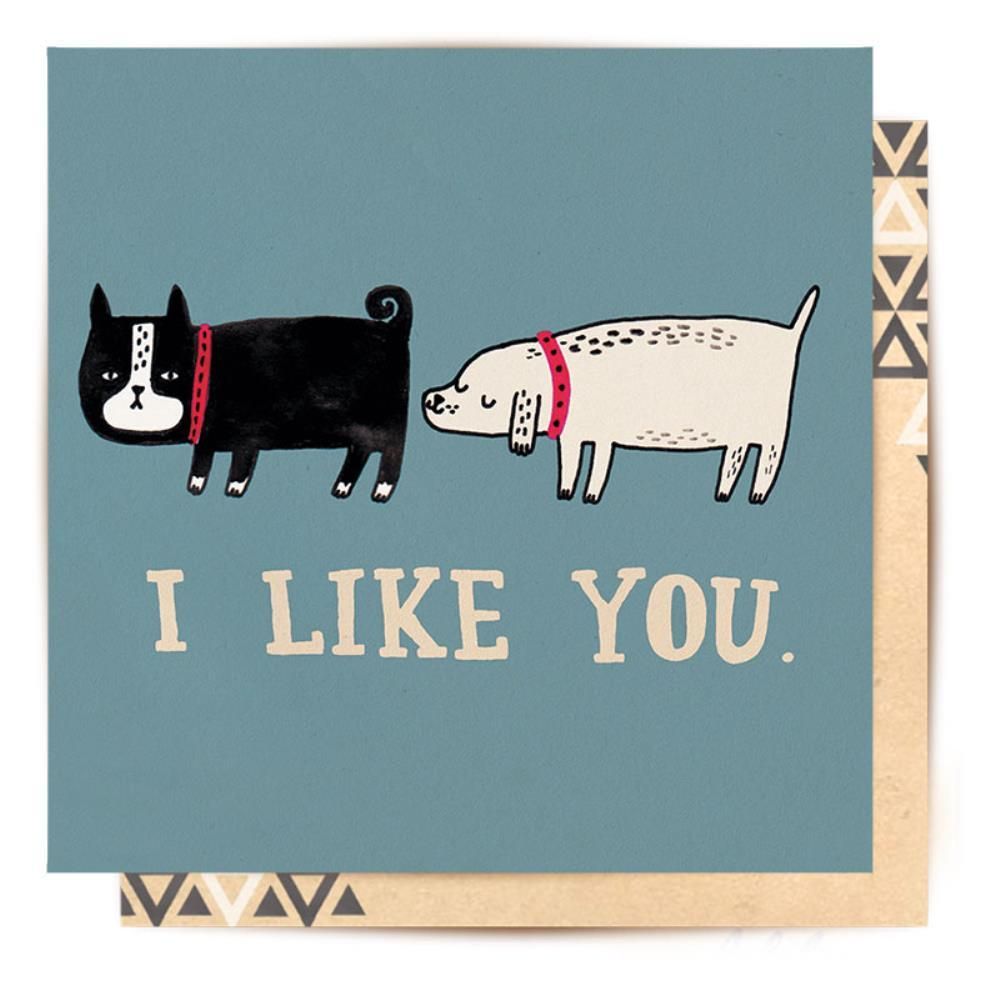La La Land: Greeting Card I Like You
