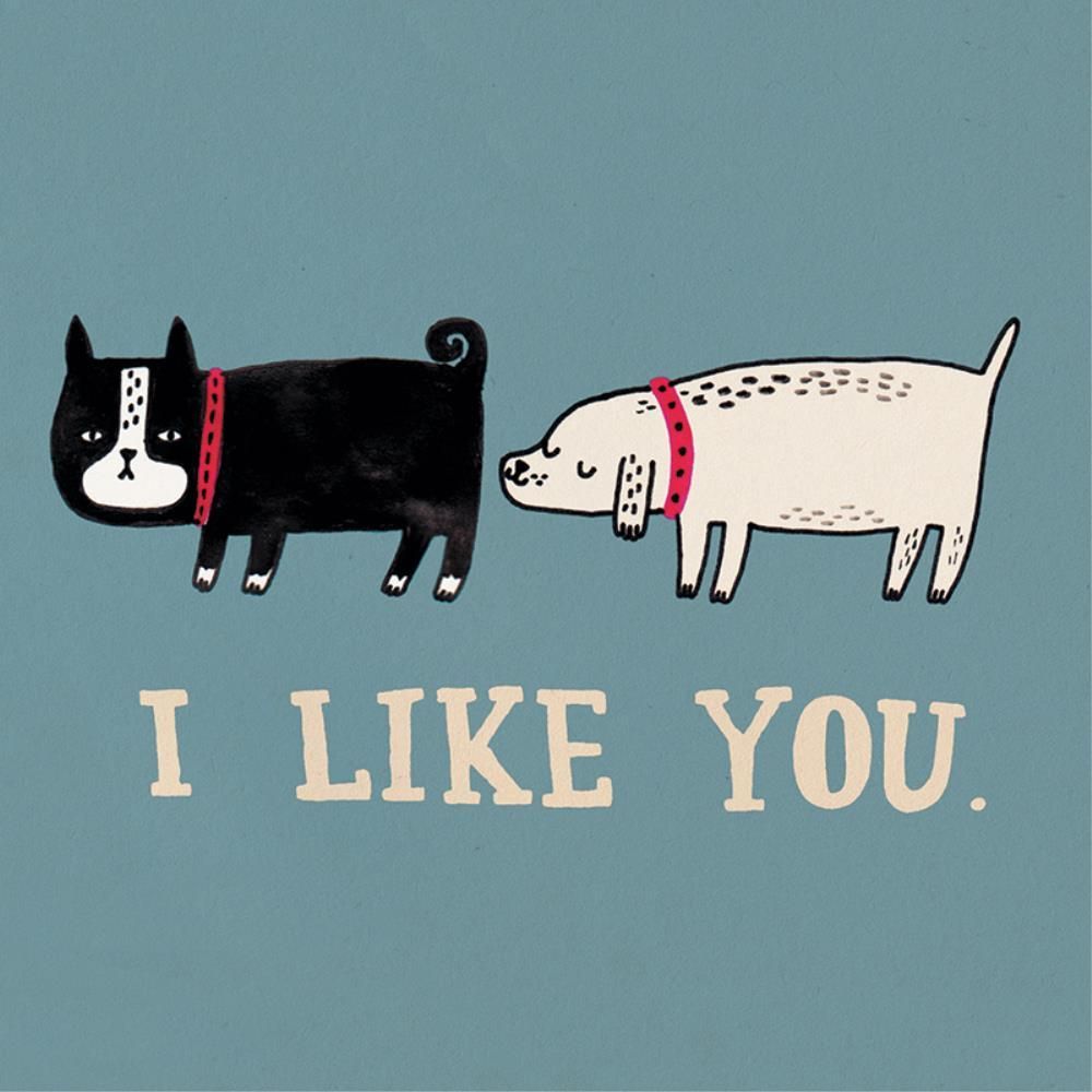 La La Land: Greeting Card I Like You