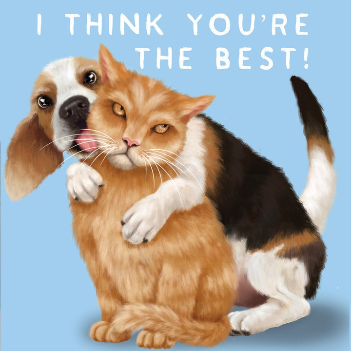 La La Land: Greeting Card Cat Dog