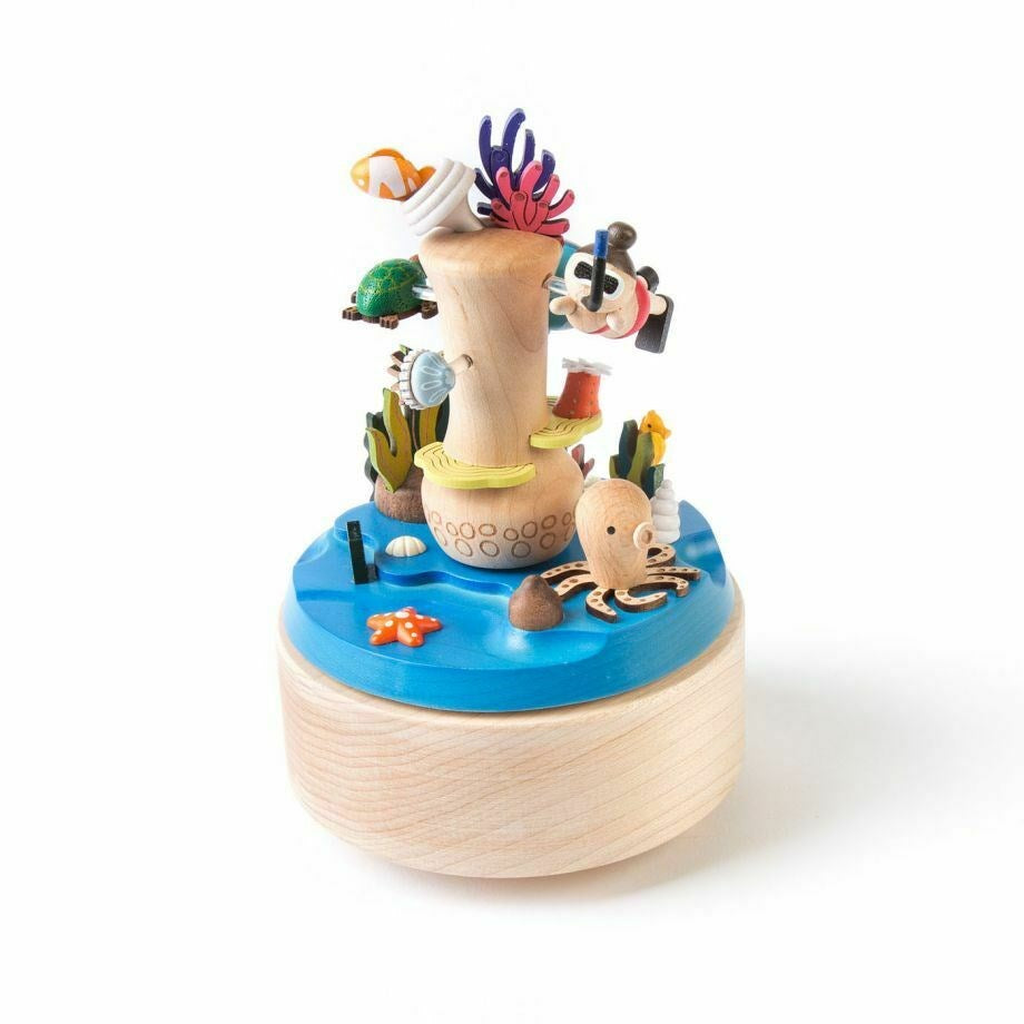Wooderful Life: Music Box Coral Reef Snorkelling