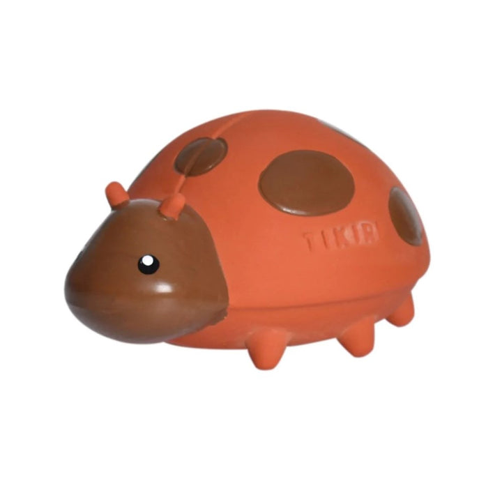 Tikiri: Rubber Garden Friend Teether & Bath Toy Ladybug