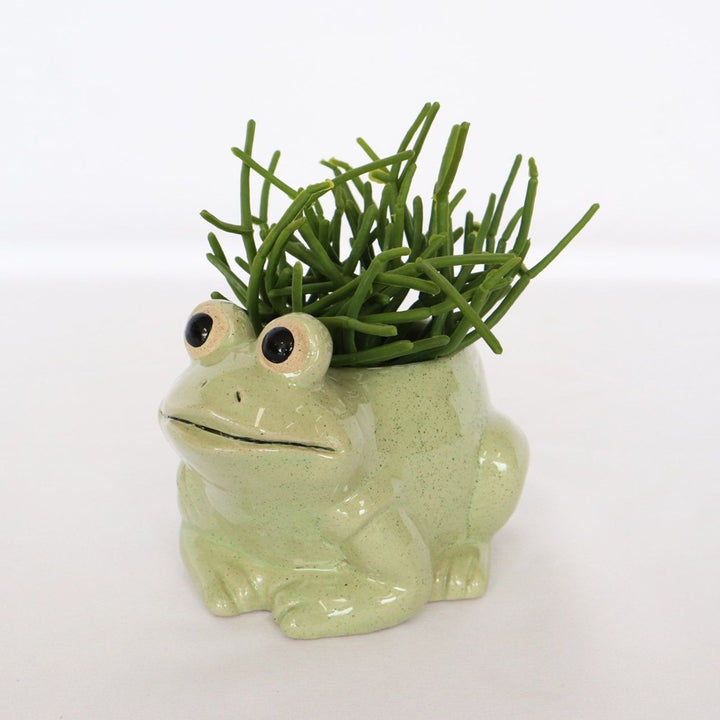 Urban Products: Frog Planter Light Green Small