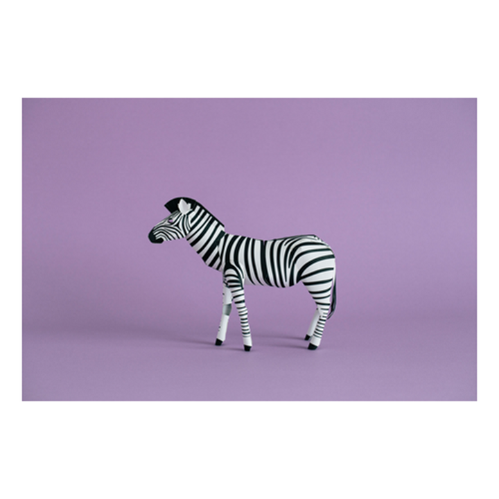 Top to Tail: Zebra Paper Model Kit